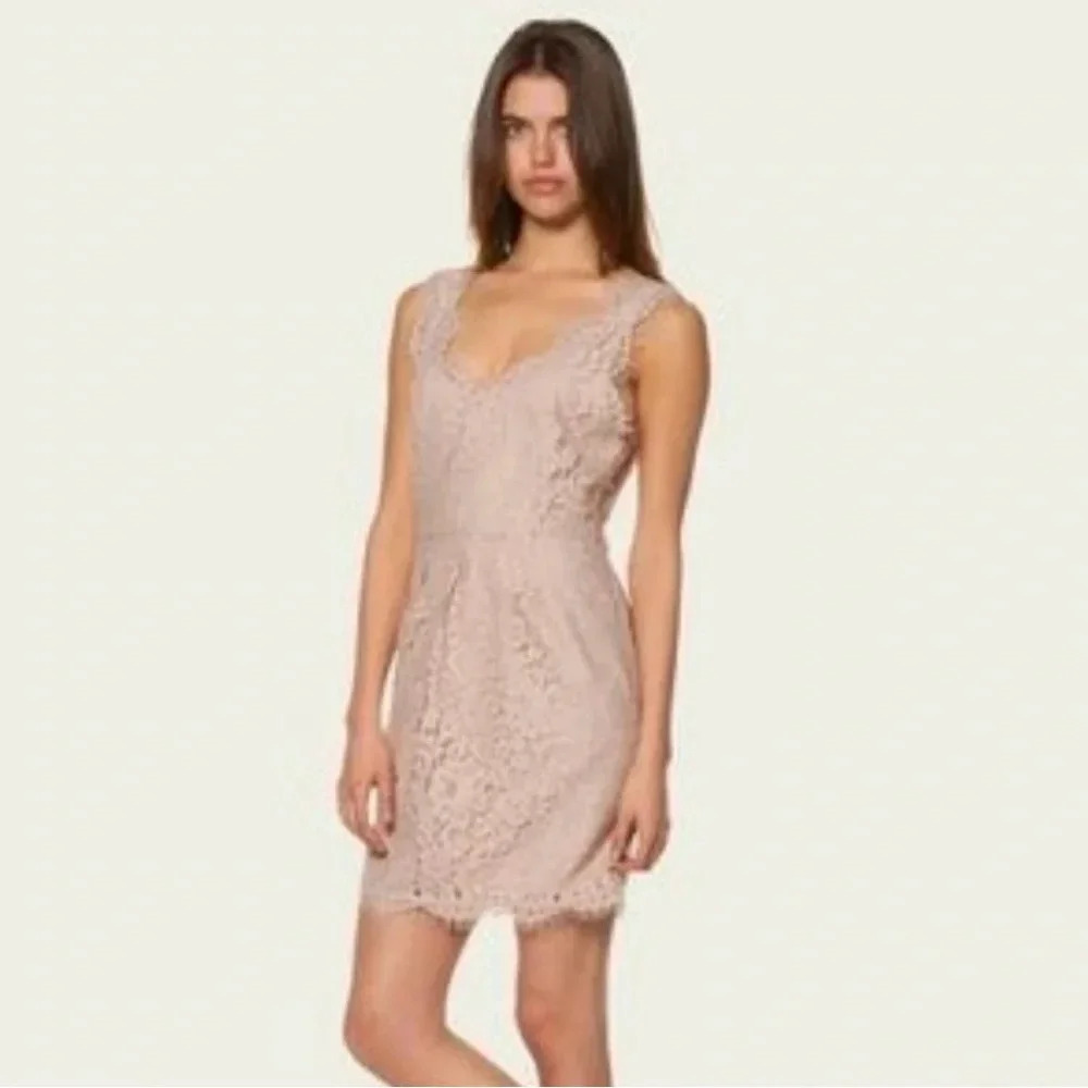 Joie Light Tan Sleeveless‎ Lace Scallop Mini Dress